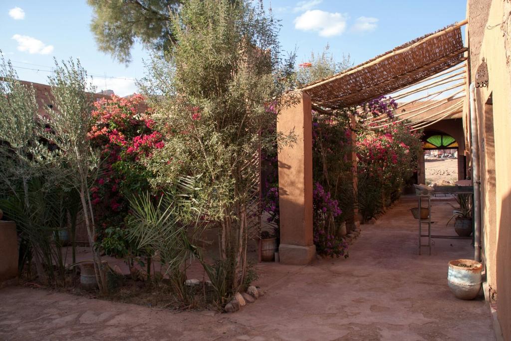 Auberge L'Oasis Foum Zguid 외부 사진